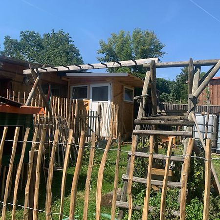 Blockhausvermietung "Vor Dem Groeperntor" Quedlinburg Ngoại thất bức ảnh