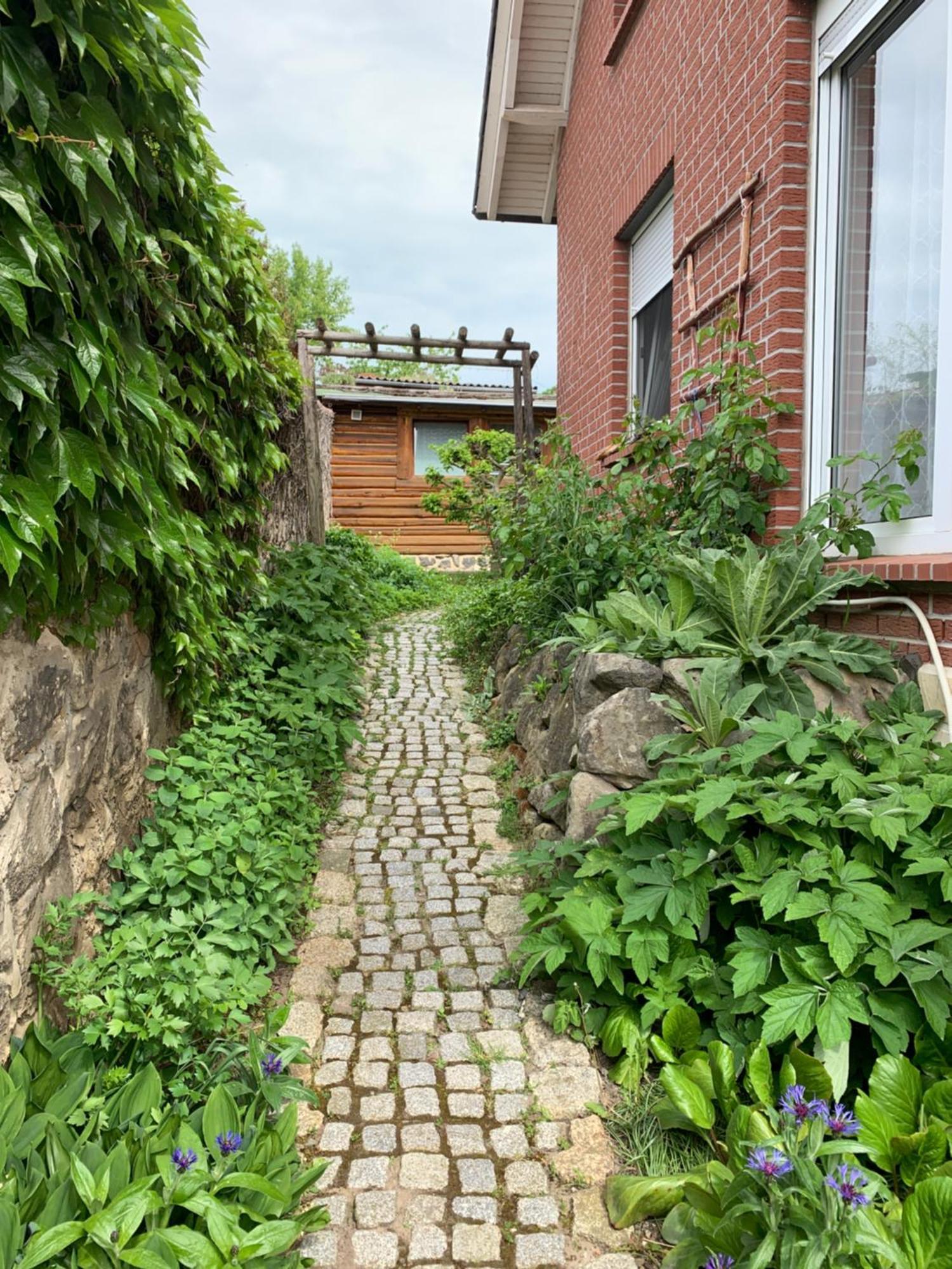 Blockhausvermietung "Vor Dem Groeperntor" Quedlinburg Ngoại thất bức ảnh
