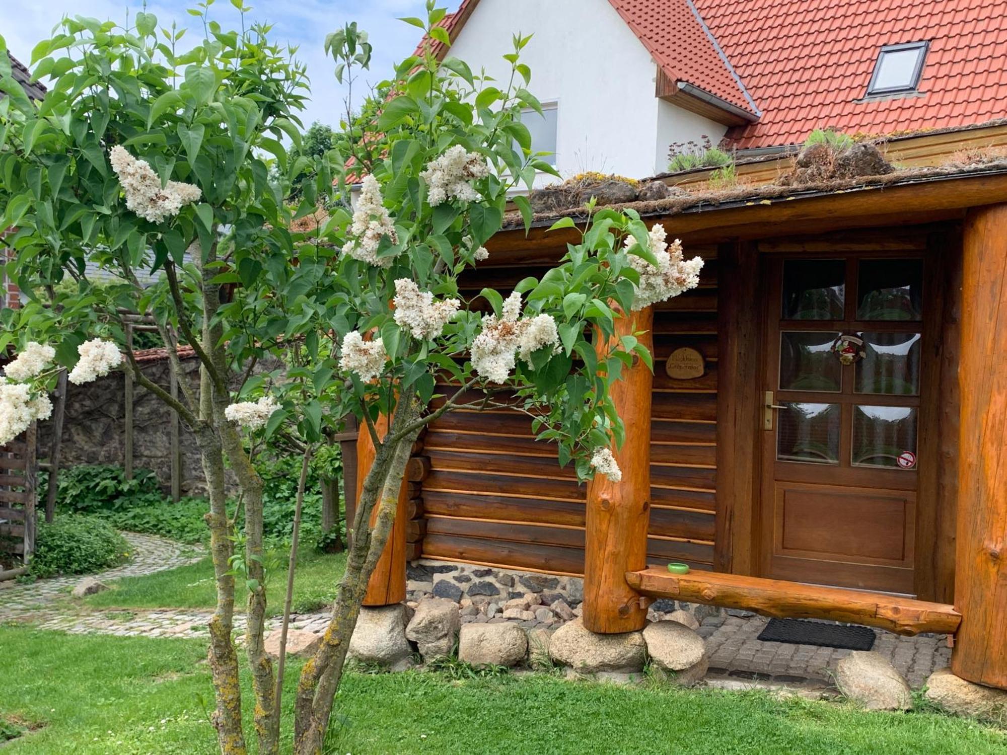 Blockhausvermietung "Vor Dem Groeperntor" Quedlinburg Ngoại thất bức ảnh